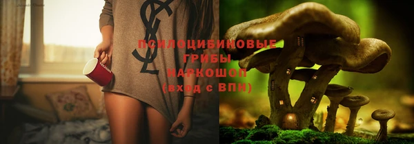 стаф Балахна