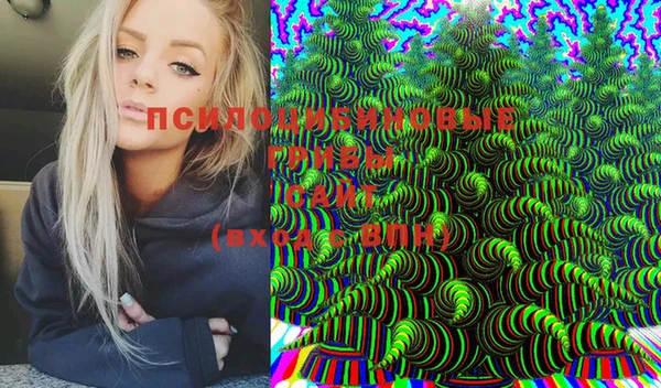 хмурый Сосновый Бор