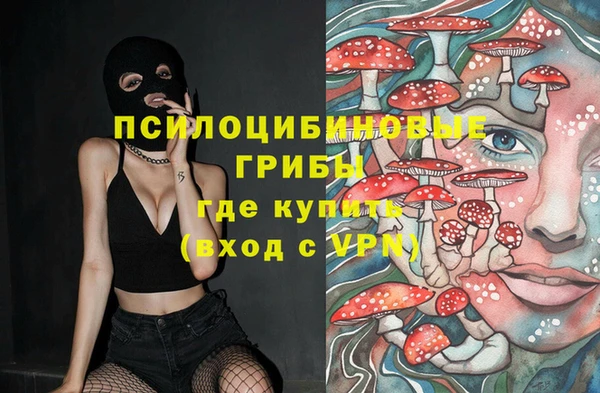 стаф Балахна