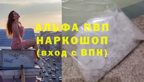 стаф Балахна